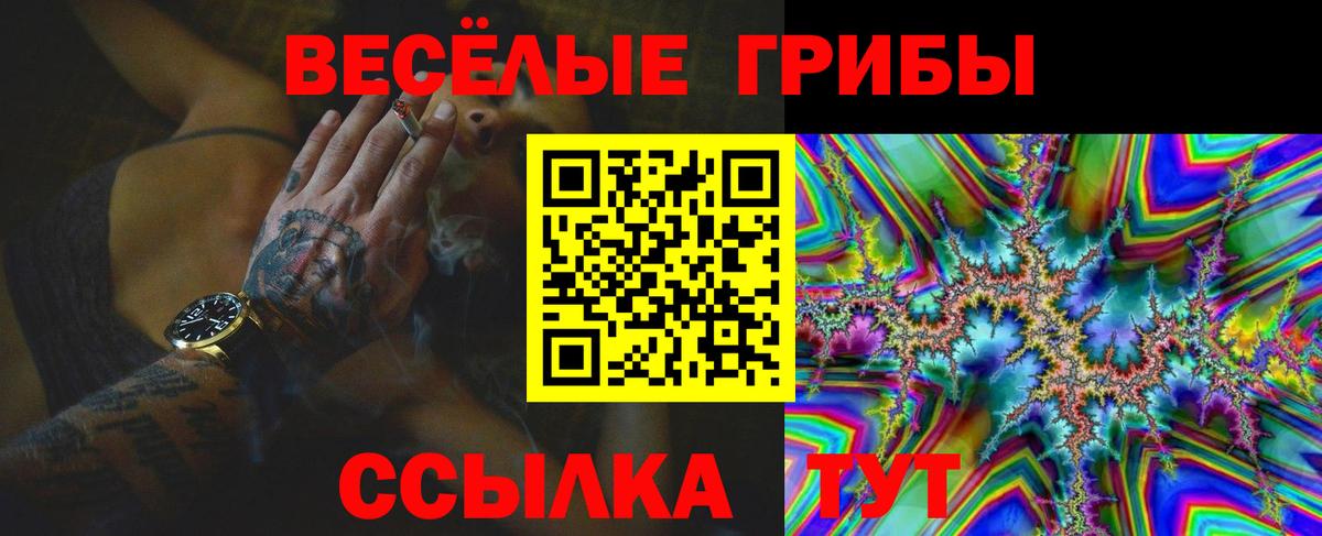 Псилоцибиновые грибы Psilocybine cubensis Полевской